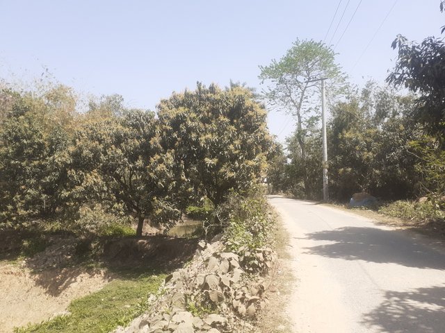 20250305_115439.jpg