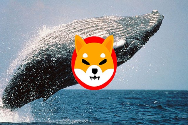 ethereum-whale-shiba-inu.jpg