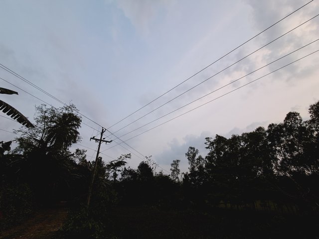 1000023152.jpg