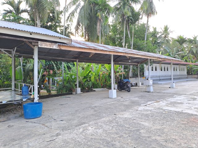 20250711_175442.jpg