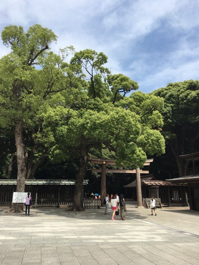 Meiji Shrine 19.jpg