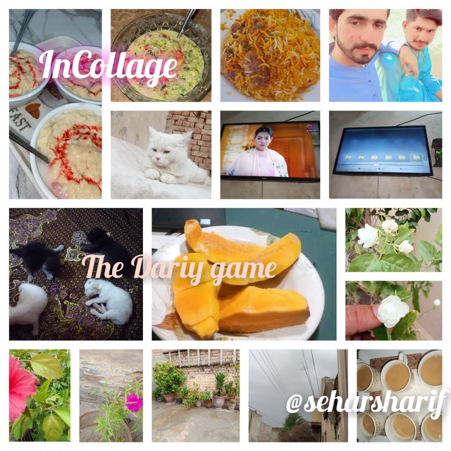 InCollage_20250617_205923218.jpg