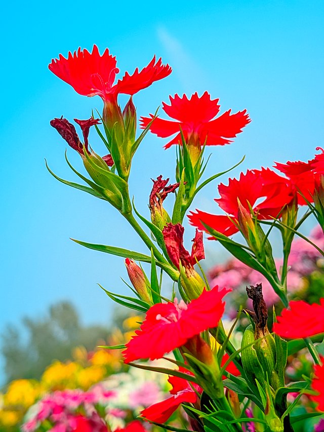 LMC_20250122_153745_🌈Color boost by Riyan .jpg