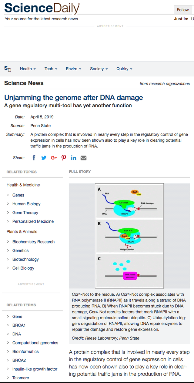 Unjamming the genome after DNA damage.png