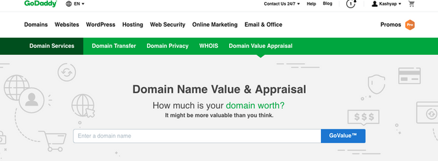 GoDaddy Domain Name Appraisal Tool - KJ's Web World.png