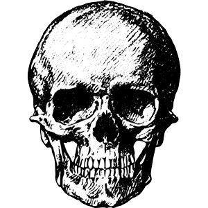 skull3.2.png