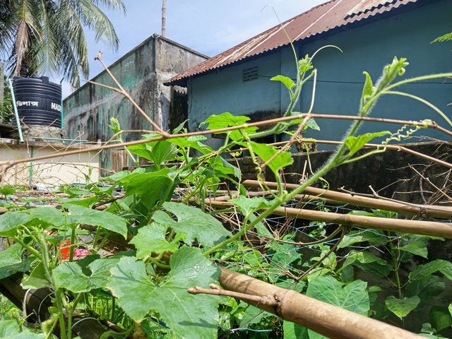 chalkumra  (4).jpg