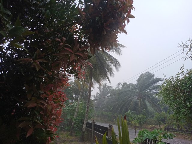 IMG20250607171237.jpg