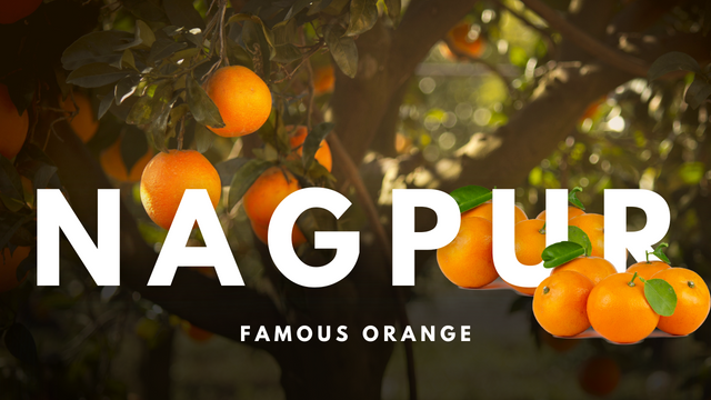 Orange and White Nagpur Tourism Vlog YouTube Thumbnail.png