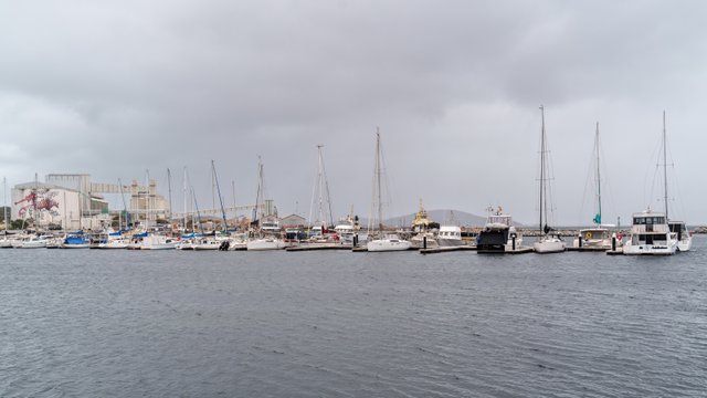 A1V05205.jpg