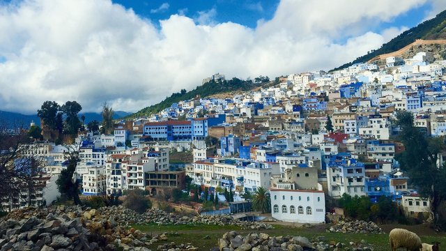 chefchaouen-2302230_1920.jpg
