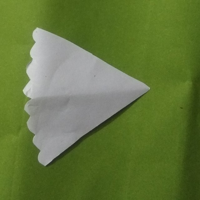 d6.jpg