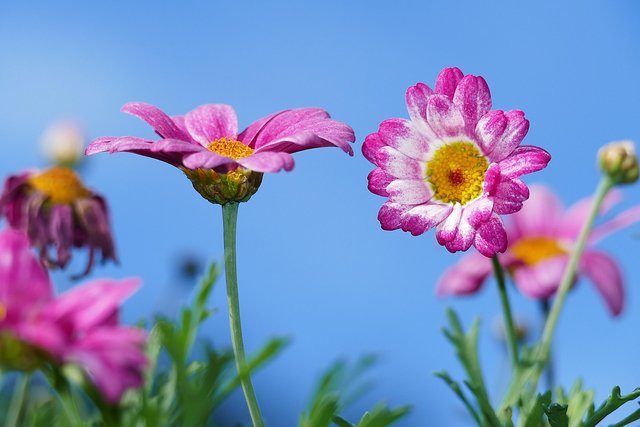1000318776.jpg