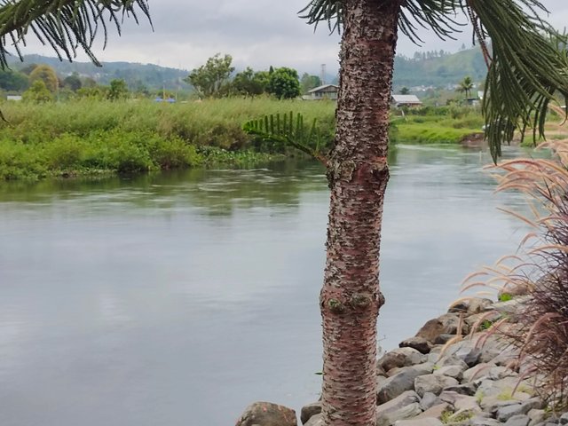 IMG_20250615_182653.jpg