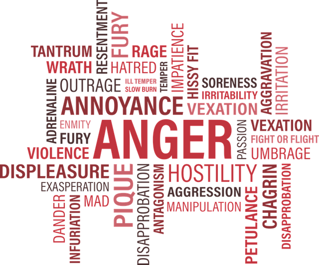 anger-1462088_960_720.png