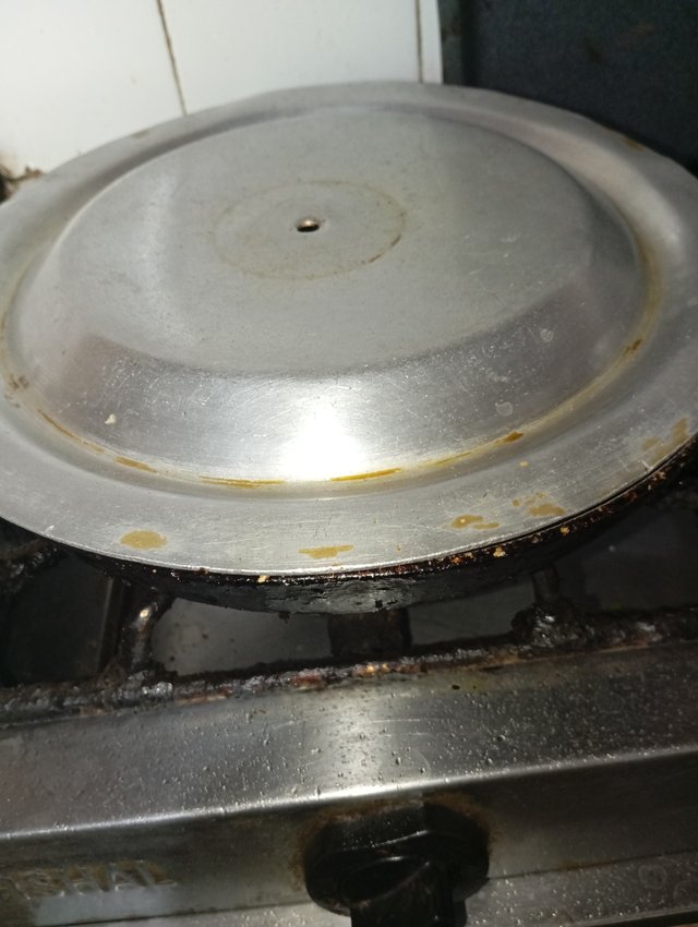 1000061009.jpg