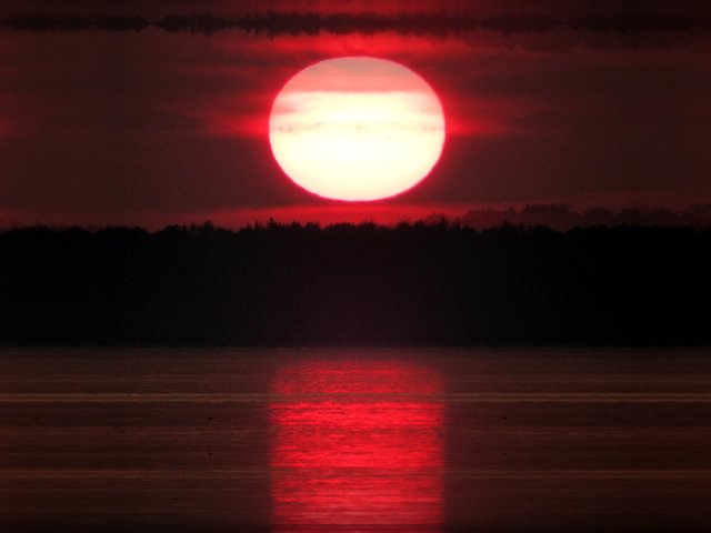 IMG_9947---.JPG