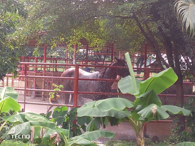 IMG_20250430_154436_762.jpg