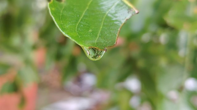 IMG_20250906_172804.jpg