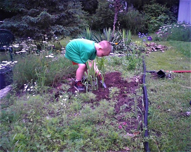 Photo06171609_1.jpg