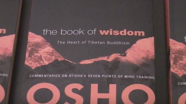 book of wisdom.jpg