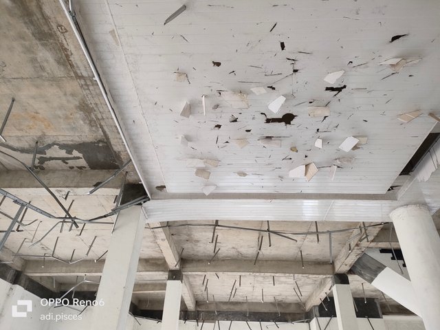 IMG20250902095016.jpg