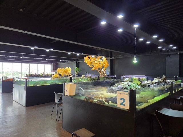 20250718_124308.jpg