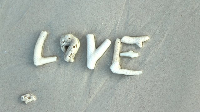 vecteezy_the-word-love-is-laid-out-with-corals-on-a-sandy-beach_40536976.jpg