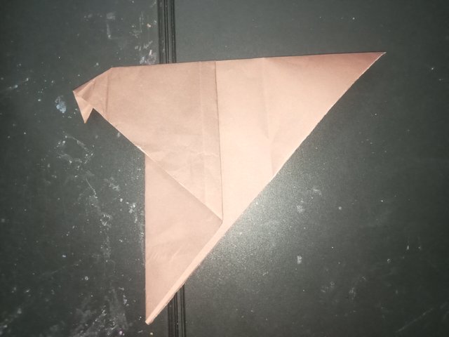 1000025766.jpg