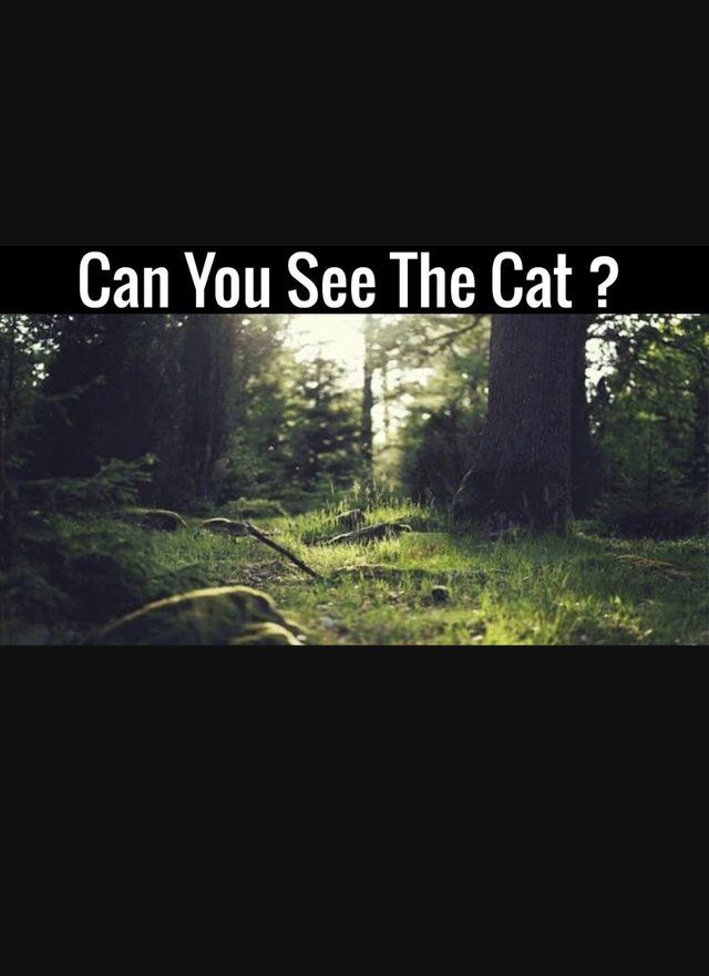 1000000329.jpg