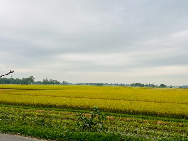 IMG-20250523-WA0007.jpg