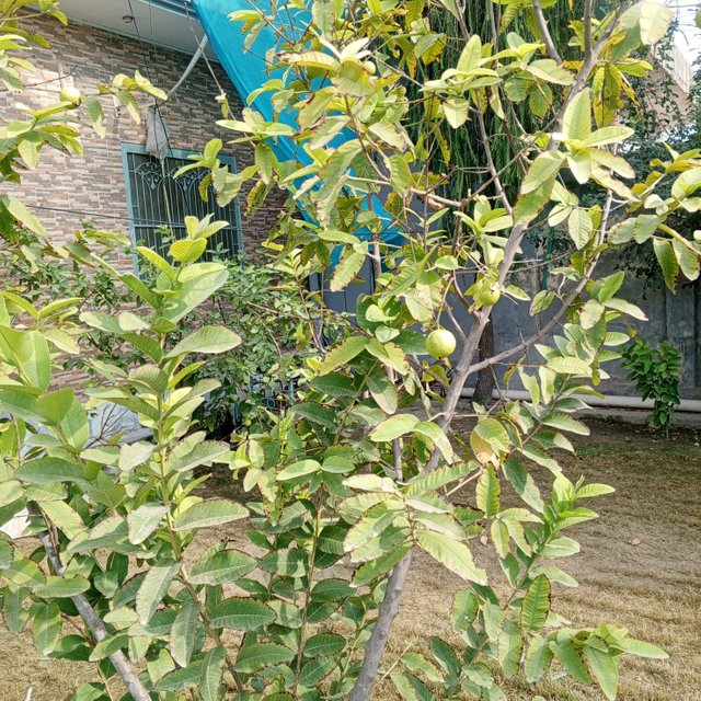 IMG_20250824_204132_435.jpg