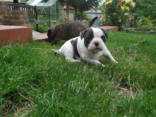 photo_2019-07-19_08-11-41.jpg