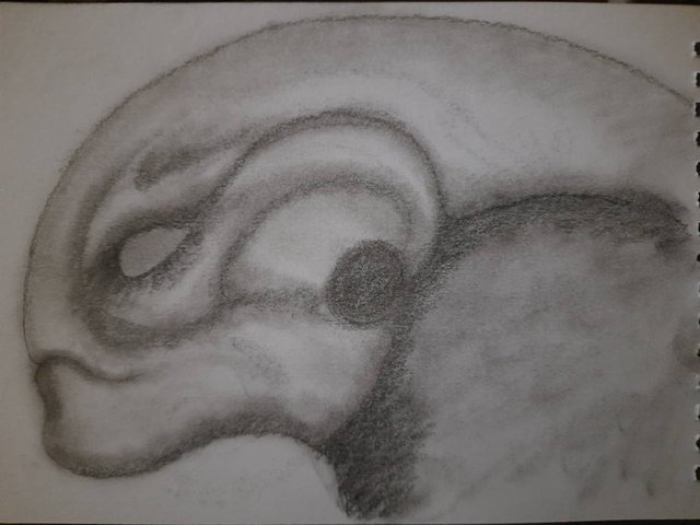 20250719_104756.jpg