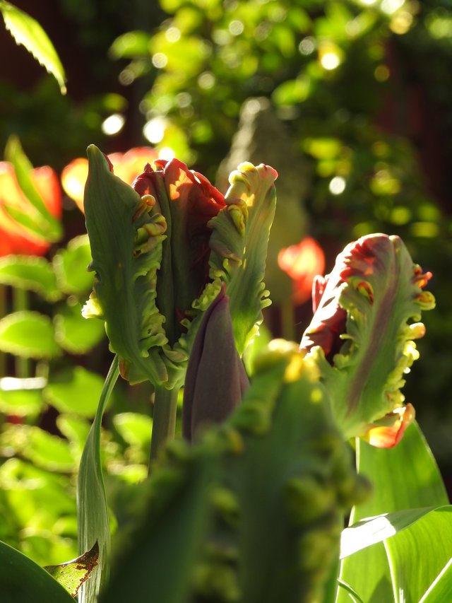 DSCN1555.JPG