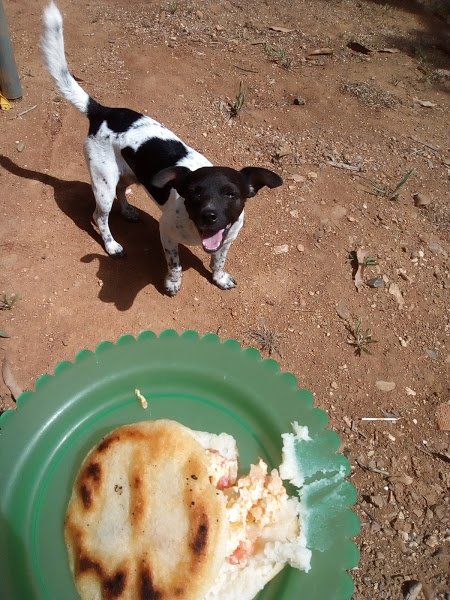 desayuno15.jpg