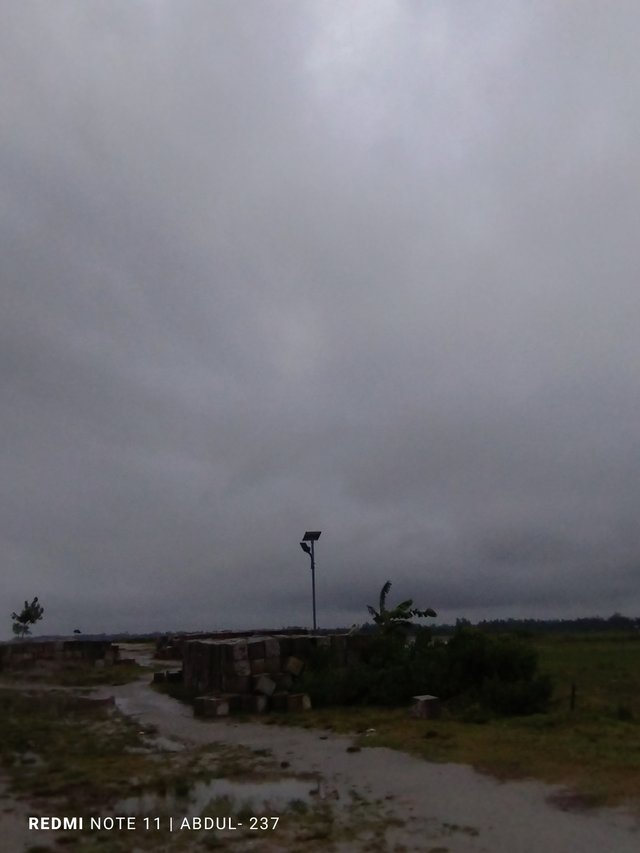 IMG_20251005_172336.jpg