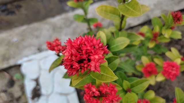 IMG_20221003_164853.jpg
