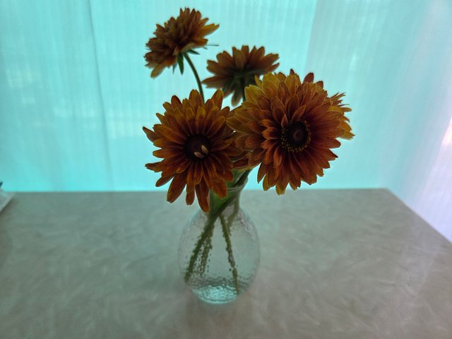 20250712_093613.jpg