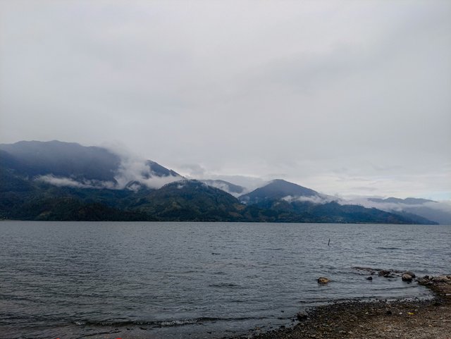 IMG_20250712_082302.jpg