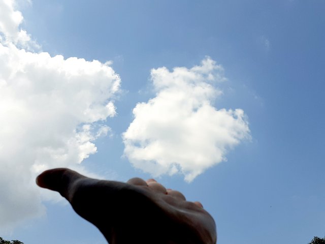 20250423_141309.jpg
