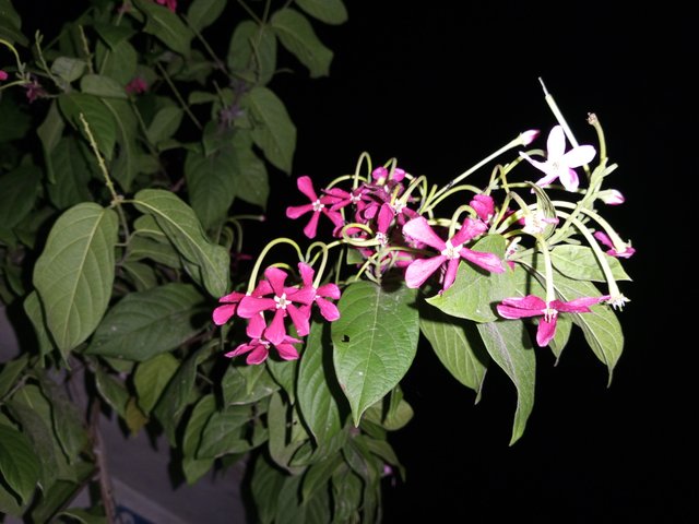 IMG_20231208_215441_417.jpg