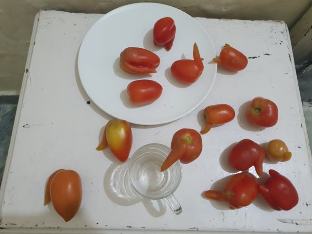 20250412_171557.jpg