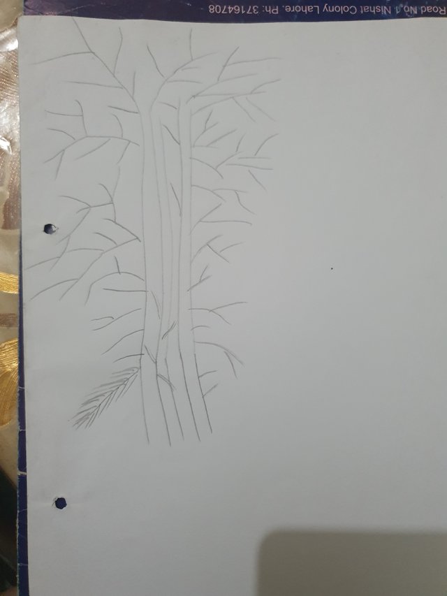 20250731_134459.jpg