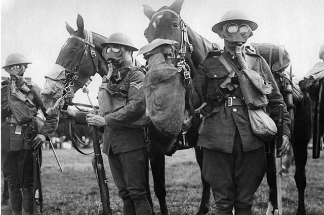 horses-and-men-in-gas-masks-during-tests-to-find-the-best-protection-against-gas-attacks-pic-dm-965360765.jpg