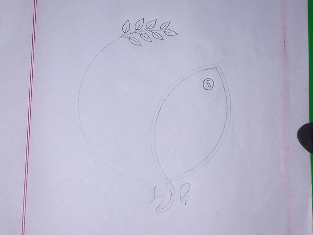 20250618_203837.jpg