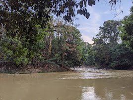 IMG_20200207_173603.jpg