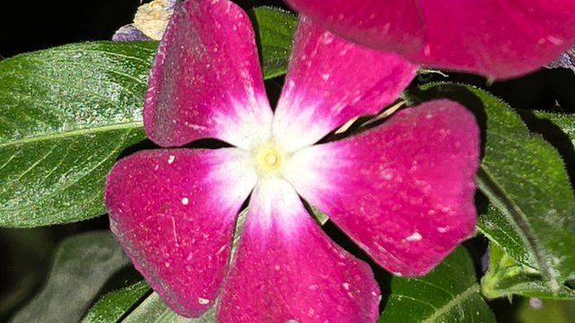 20250125_025156.jpg