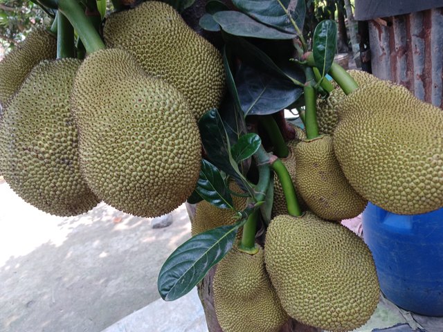 20250503_114427.jpg