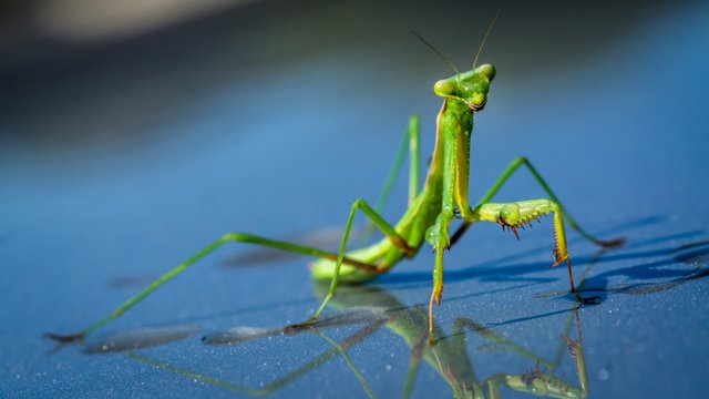 DSC04057.JPG